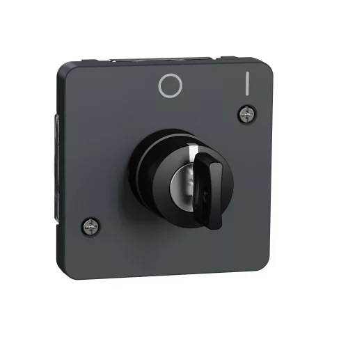 Schneider Mureva Styl MUR35062 kulcsos kapcsoló 2 állású antracitszürke IP55