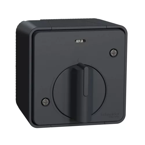 Schneider Mureva Styl MUR35067 mechanikus időkapcsoló antracitszürke IP55