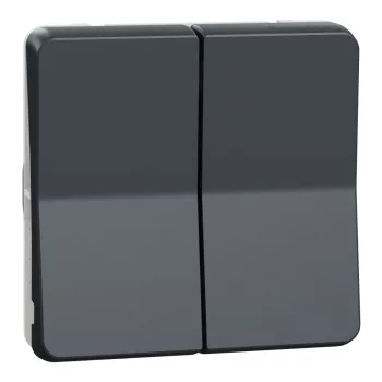 Schneider Mureva Styl MUR35326 kettős nyomógomb antracitszürke IP55