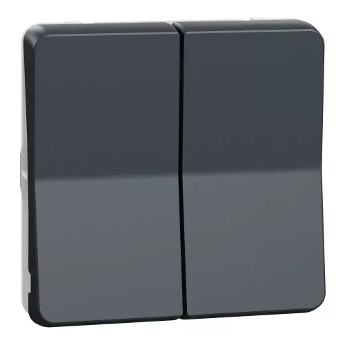 Schneider Mureva Styl MUR35326 kettős nyomógomb antracitszürke IP55