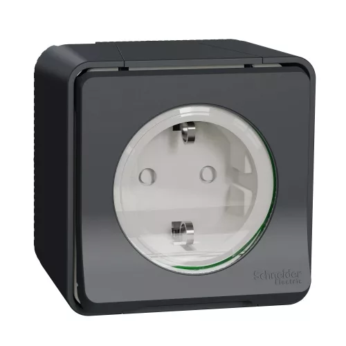 Schneider Mureva Styl MUR36731 2P+F csatlakozóaljzat antracitszürke IP55