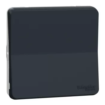   Schneider MUR37021 MUREVA Styl Váltókapcsoló (106), antracitszürke