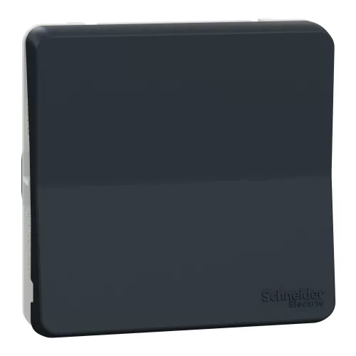 Schneider Mureva Styl MUR37021 váltókapcsoló (106) antracitszürke IP55