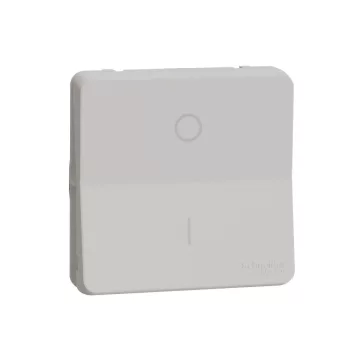   Schneider MUR39033 MUREVA Styl Kétpólusú kapcsoló, 16 AX (102), polárfehér