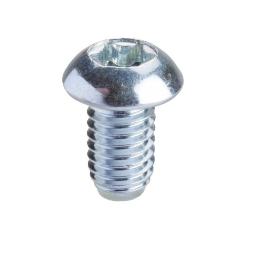 Schneider Electric NSYSPM6 Torx screw T30 (M6x10)