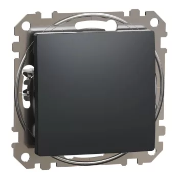   Schneider Electric SDD114101 egypólusú kapcsoló (101), antracit burkolattal, rugós bekötés, kerét nélkül, süllyesztett, 10A 250V IP20 (Sedna Design / Elements)
