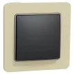 Schneider Electric SDD114101 egypólusú kapcsoló (101), antracit burkolattal, rugós bekötés, kerét nélkül, süllyesztett, 10A 250V IP20 (Sedna Design / Elements)