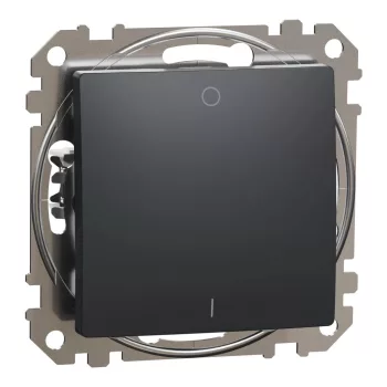   Schneider Electric SDD114102 kétpólusú kapcsoló (102), antracit burkolattal, rugós bekötés, kerét nélkül, süllyesztett, 10A 250V IP20 (Sedna Design / Elements)