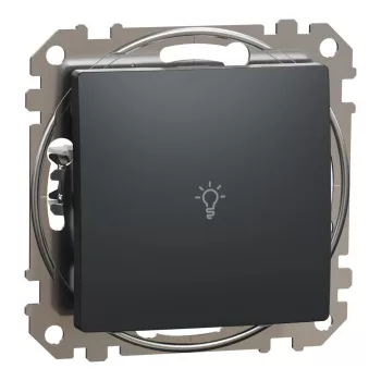   Schneider Electric SDD114132 egypólusú nyomó (N101), antracit burkolattal, lámpajellel, rugós bekötés, kerét nélkül, süllyesztett, 10A 250V IP20 (Sedna Design / Elements)