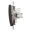 Schneider Electric SDD181105U csillárkapcsoló (105), wenge burkolattal, rugós bekötés, kerét nélkül, süllyesztett, 10A 250V IP20 (Sedna Design / Elements)
