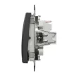 Schneider Electric SDD214132 vízmentes egypólusú nyomó (N101), antracit burkolattal, lámpajellel, rugós bekötés, kerét nélkül, süllyesztett, 10A 250V IP44 (Sedna Design / Elements)