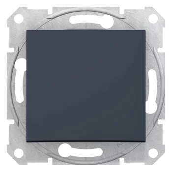   Schneider Electric Sedna SDN0100170 egypólusú kapcsoló (101), grafit burkolattal. keret nélkül, süllyesztett, 10A 250V ( SDN0100170 ).