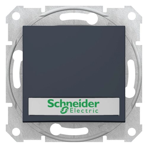 Schneider Electric Sedna SDN1600370 egypólusú nyomó (N101), grafit burkolattal. keret nélkül, süllyesztett, cimketartóval, kék jelzőfénnyel, 10A V ( SDN1600370 ).