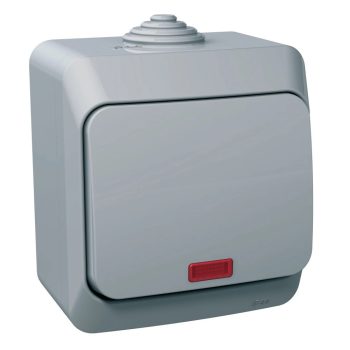   Schneider Electric Cedar Plus WDE000614 IP44 vízmentes egypólusú kapcsoló (101), szürke, komplett szerelvény, falon kívüli, jelzőfénnyel, vízmentes (IP44) 16A 250V ( WDE000614 ).