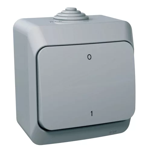 Schneider Electric Cedar Plus WDE000620 falon kívüli kétpólusú kapcsoló – 16 AX, 250 V AC – IP44 – szürke színben