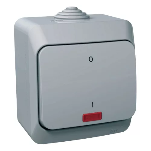 Schneider Electric Cedar Plus WDE000621 falon kívüli kétpólusú kapcsoló jelzőfénnyel – 16 AX, 250 V AC – IP44 – szürke színben