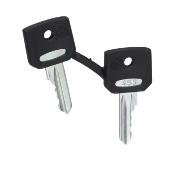   Schneider ZBG455 Harmony pótkulcs kulcsos kapcsolóhoz, 455, 2db