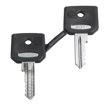   Schneider ZBGC Harmony pótkulcs kulcsos kapcsolóhoz, 5 multi-chip, 2db