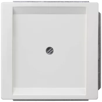   Siemens Delta Style 5TG13301, 5TG1330-1 vakfedél platina, Delta Style ( 5TG13301, 5TG1330-1)