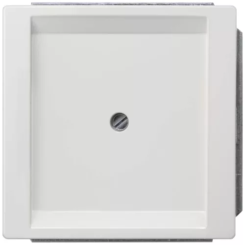 Siemens Delta Style 5TG13301, 5TG1330-1 vakfedél platina, Delta Style ( 5TG13301, 5TG1330-1)