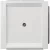 Siemens Delta Style 5TG13301, 5TG1330-1 vakfedél platina, Delta Style ( 5TG13301, 5TG1330-1)