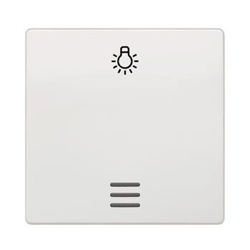   Siemens Delta i-system 5TG6206 1-es billentyű világítóablakkal és lámpa jellel titánfehér, Delta i-system ( 5TG6206)