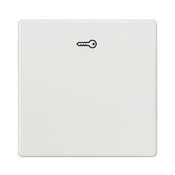   Siemens Delta i-system 5TG6208 1-es billentyű kulcs jellel titánfehér, Delta i-system ( 5TG6208)