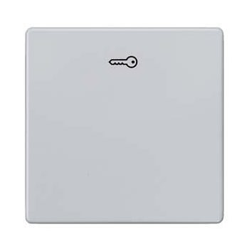   Siemens Delta i-system 5TG6248 1-es billentyű kulcs jellel alumínium, Delta i-system ( 5TG6248)