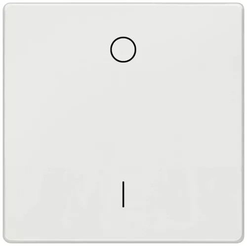 Siemens Delta Style 5TG71421 1-es billentyű I/O jellel platina, Delta Style ( 5TG71421, 5TG7142-1)