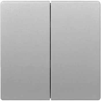   Siemens Delta Style 5TG71451 2-es billentyű platina, Delta Style ( 5TG71451, 5TG7145-1)