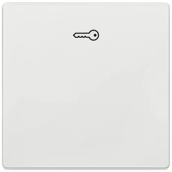   Siemens Delta Style 5TG71481 1-es billentyű kulcs jellel platina, Delta Style ( 5TG71481, 5TG7148-1)