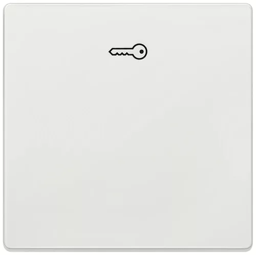 Siemens Delta Style 5TG71481 1-es billentyű kulcs jellel platina, Delta Style ( 5TG71481, 5TG7148-1)