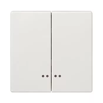   Siemens Delta Style 5TG7158 2-es billentyű világítóablakkal titánfehér, Delta Style ( 5TG7158)