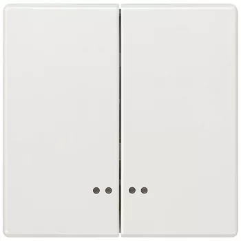   Siemens Delta Style 5TG71581 2-es billentyű világítóablakkal platina, Delta Style ( 5TG71581, 5TG7158-1)