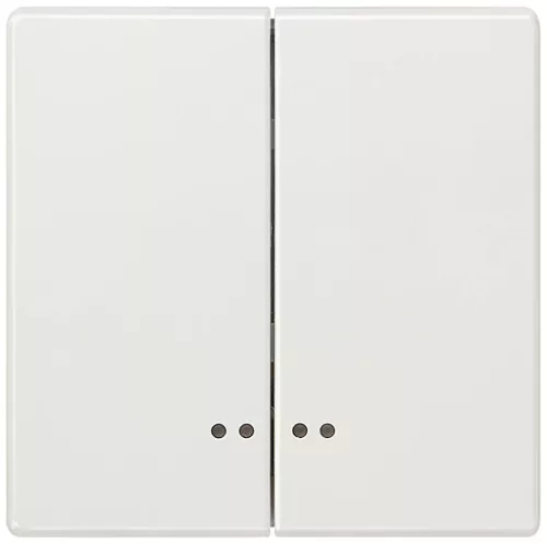 Siemens Delta Style 5TG71581 2-es billentyű világítóablakkal platina, Delta Style ( 5TG71581, 5TG7158-1)