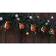 Tracon CHRSTCPPW10WW LED karácsonyi lánc, csomag, elemes Timer 6+18h,10LED, meleg fehér ( 3000K ) színhőmérséklettel, 2xAA ( CHRSTCPPW10WW )