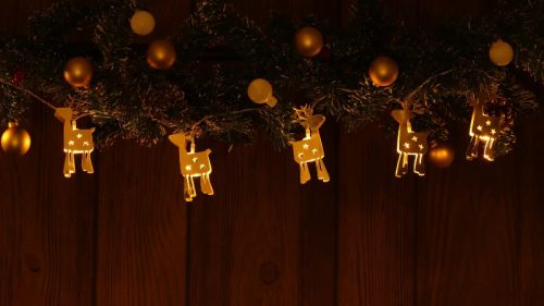 Tracon CHRSTRDGM10WW LED karácsonyi lánc, szarvas,fém, elemes Timer 6+18h,10LED, meleg fehér ( 3000K ) színhőmérséklettel, 2xAA ( CHRSTRDGM10WW )