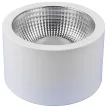 Tracon DLFTRIO25W Kerek LED fali világítótest állítható színhőmérséklettel 230V,25W,3000/4000/5700K,2180/2530/2340lm, 90°,IP54, EEI=F