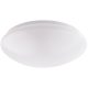Tracon MFIP1E27 Védett kerek falilámpa, opál bura, fehér 230V, 50Hz, max. 1x35W, E27, IP44, D=256mm