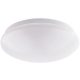 Tracon MFIP2E27 Védett kerek falilámpa, opál bura, fehér 230V, 50Hz, max. 2x35W, E27, IP44, D=290mm